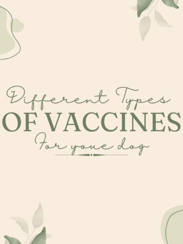 Different Types Of Vaccinations for Dogs