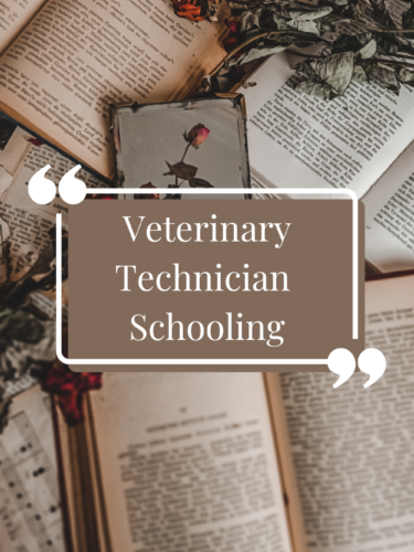 I Went To School As A Veterinary Technician